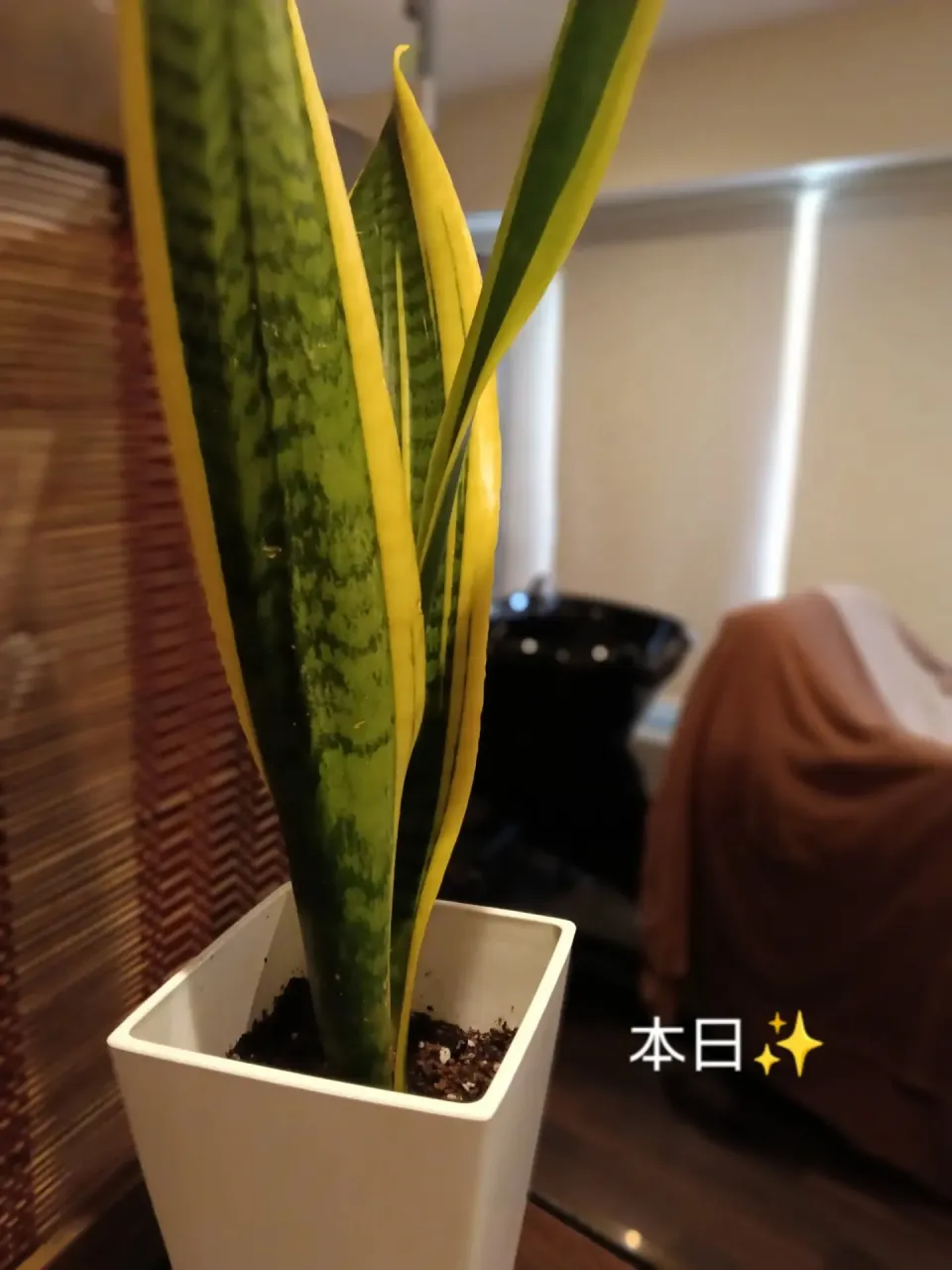 嬉しい金曜日✨